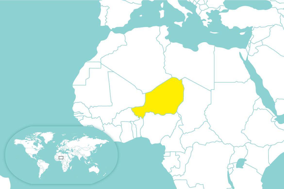 Niger's Decision to Withdraw from lake Chad Military Force Explained