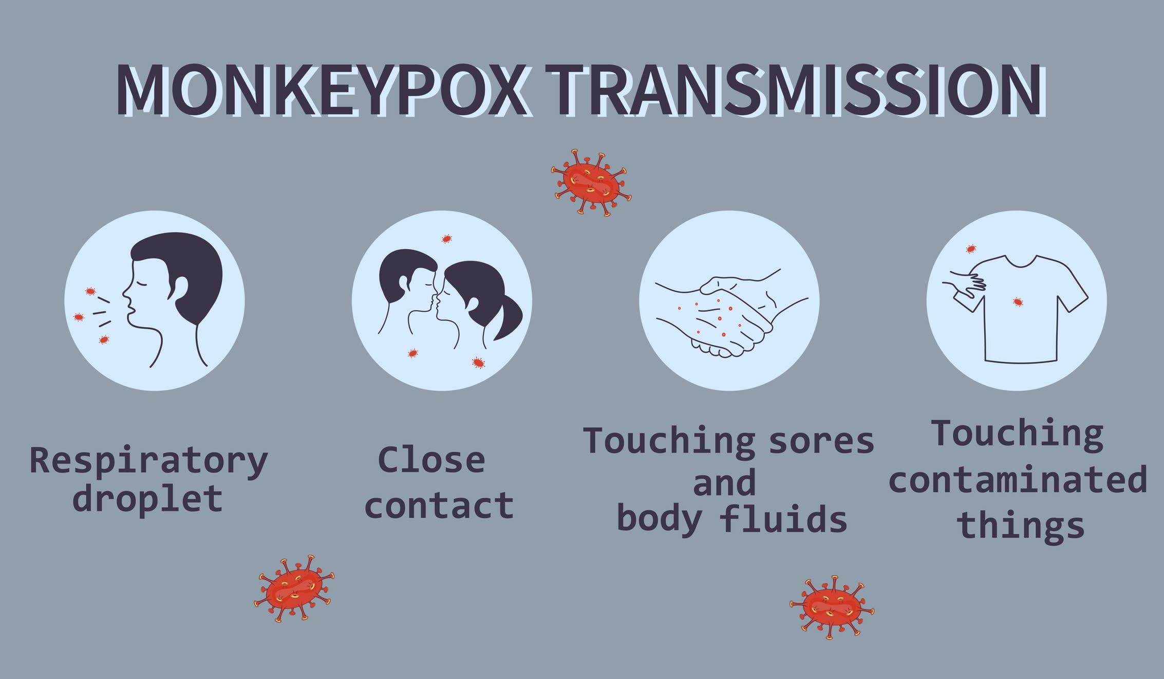 Understanding the Transmission Dynamics of Mpox in Recent‍ Outbreaks