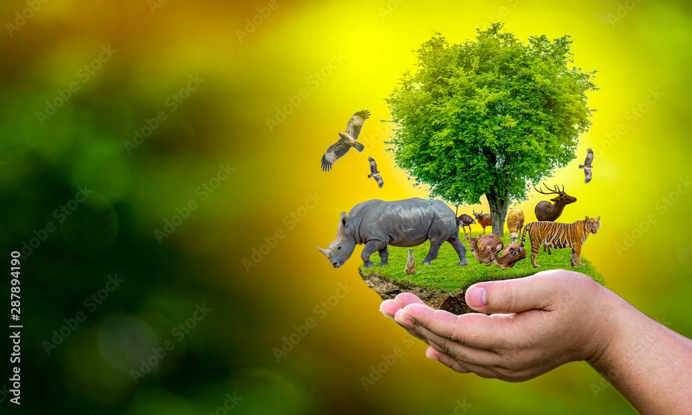 Community Engagement: Involving Locals in Wildlife Protection