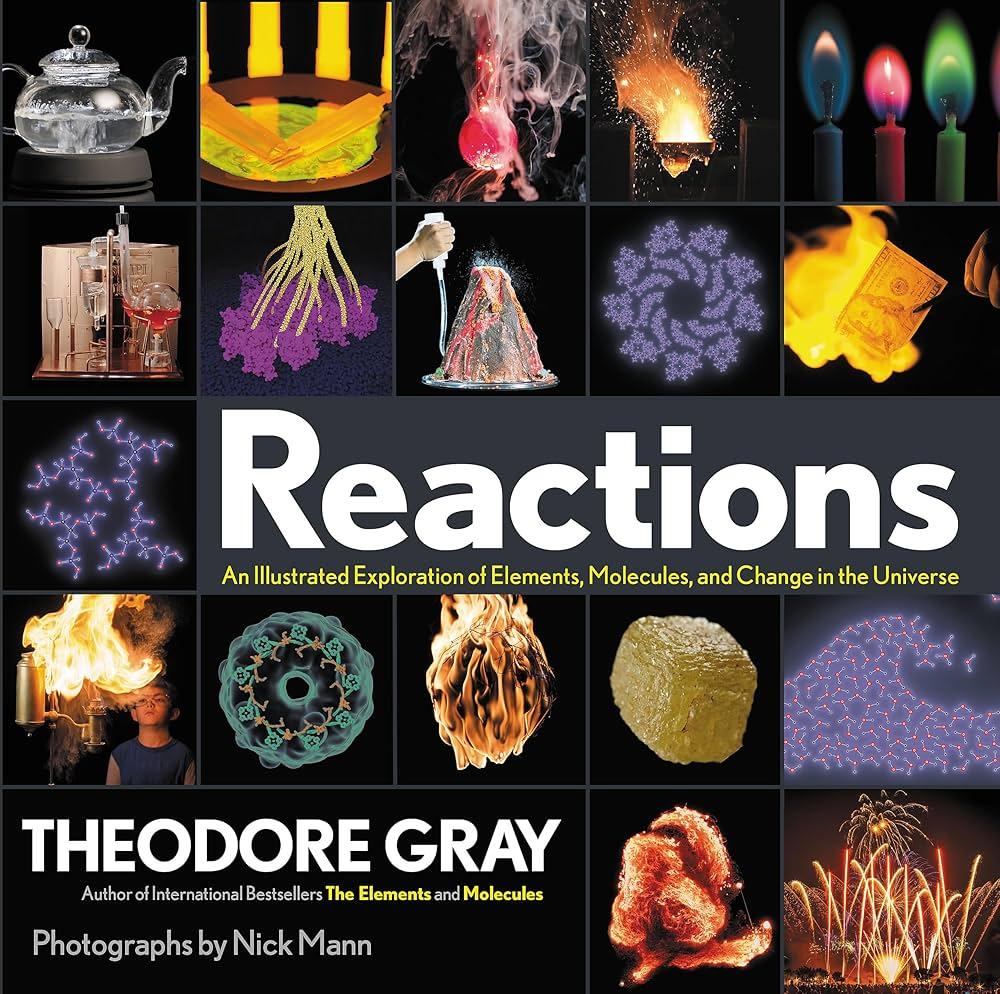 International Reactions and Responses to the Ongoing Conflict