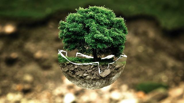 Environmental Concerns: Balancing Development with Sustainability