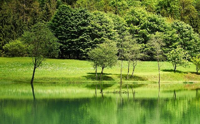 environmental Considerations in Reviving Exploration Efforts