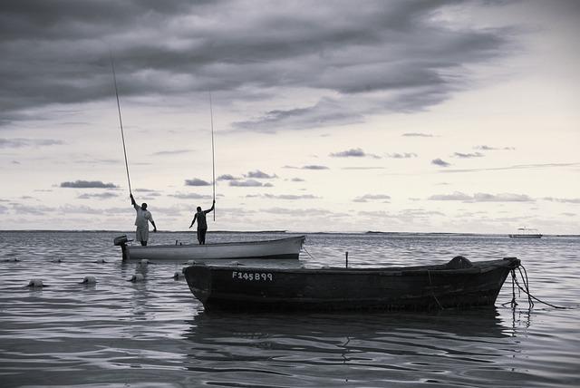 Impacts of Fishing Restrictions on​ Local Economies and‍ Communities