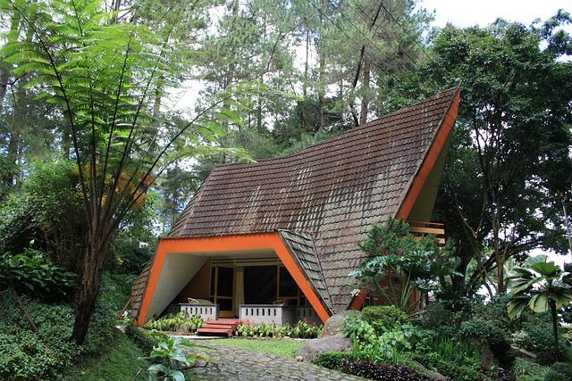 Family-friendly Lodges: Safari Adventures for All Ages