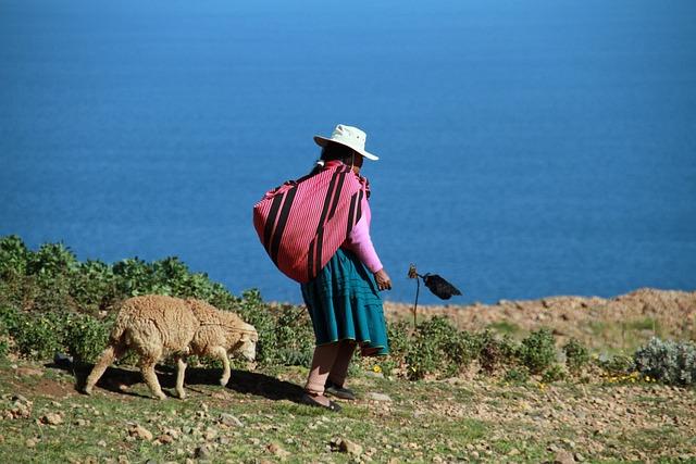 Recommendations for Policymakers: Ensuring Sustainable Rights and Effective Engagement with Indigenous Peoples