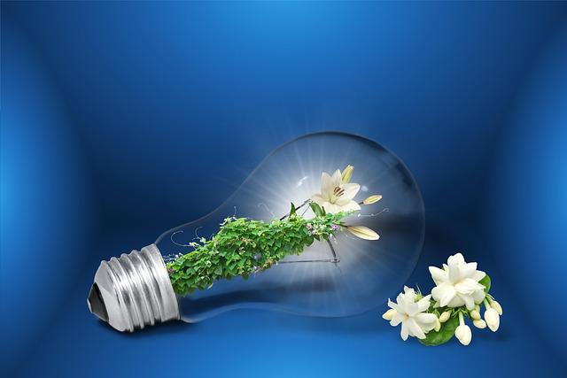 Gabon’s Commitment to​ Sustainable Energy Practices and⁢ Investment