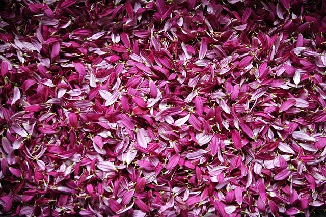 Lessons‌ Learned​ and ​Paths​ Forward for Reconciliation