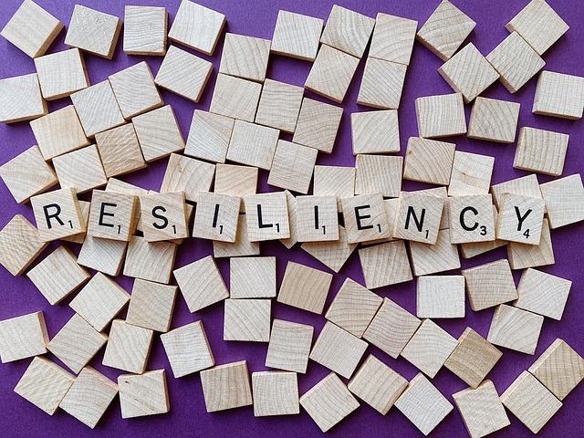 Community Resilience: Grassroots Initiatives and Local Solutions to Enhance Stability