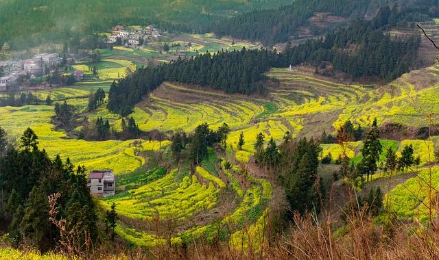 Strategies for Stabilizing the Flower Sector During Turbulent Times