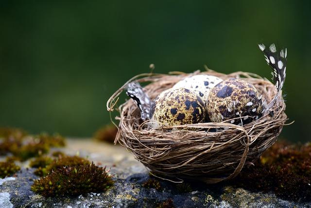 Ethical Considerations in Implementing The Sniper’s Nest Method