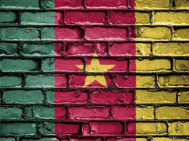 Assessing the long-Term Implications for Cameroon's National Team and Football Development