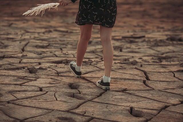 Understanding the⁣ Scale of the Drought's Impact on Food Security and‌ Livelihoods