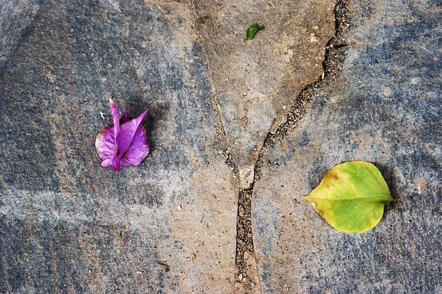 impact of‍ Internal Divisions on⁣ governance ⁢and Policy