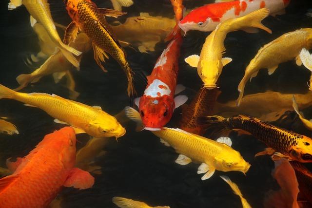 Researchers explore strategies to aid smallholder fish farmers in zambia - Penn State University