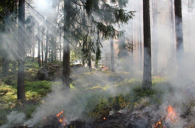 Key Issues on the Table: Conservation vs. Economic Benefits