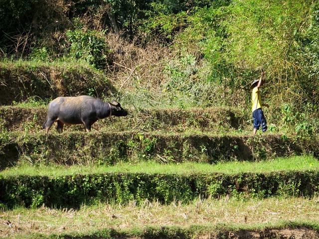 Challenges Faced by Subsistence Farmers in the⁤ Mountainous Terrain