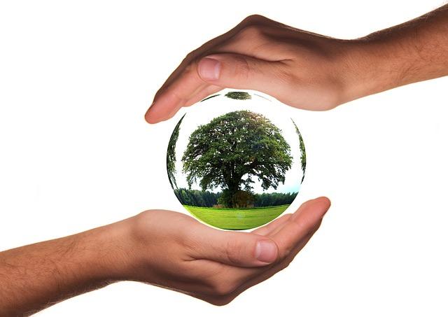 Local Conservation Efforts and Community Involvement
