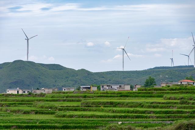 Recommendations for Sustainable Growth and Community Engagement