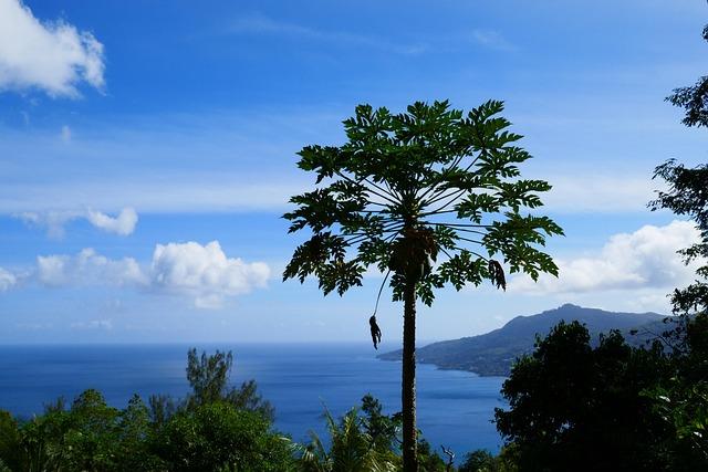 Lessons Learned: Enhancing Disaster Preparedness in Seychelles and Vanuatu
