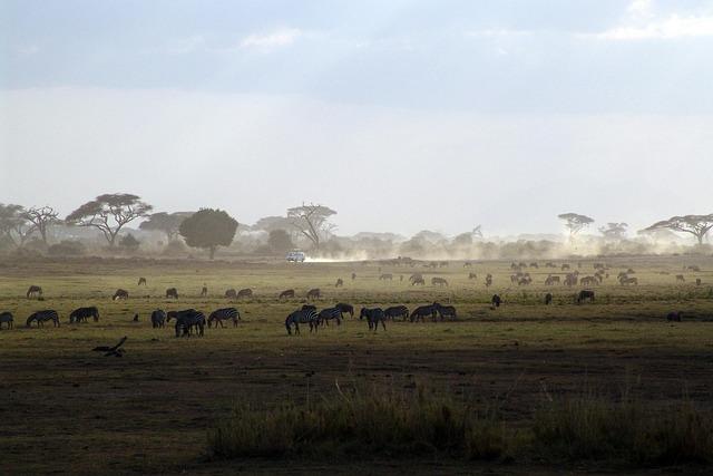 Investment Climate and Opportunities for Stakeholders in East Africa’s energy Sector