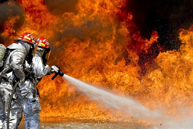 Government and NGO Responses ‌to ⁤the crisis