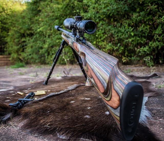 The Future of The sniper’s Nest in Evolving News Landscapes