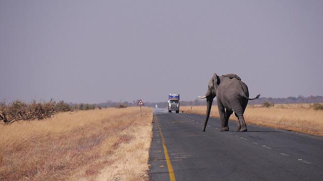Recommendations for Cooperative Strategies Between Botswana and European states