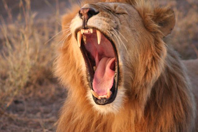 Emerging Threat Landscape in kenya and Mauritius