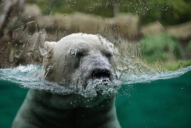 The Intersection of Climate Change and Political Stability in the MENA