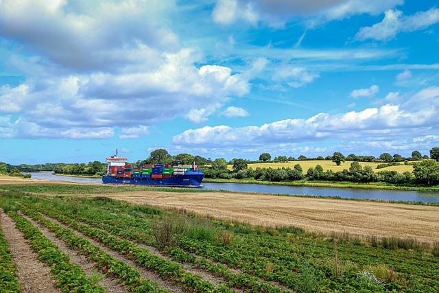 Supply Chain Challenges and Strategic Procurement Insights