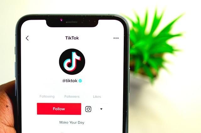 Combatting Misinformation: strategies Implemented by TikTok