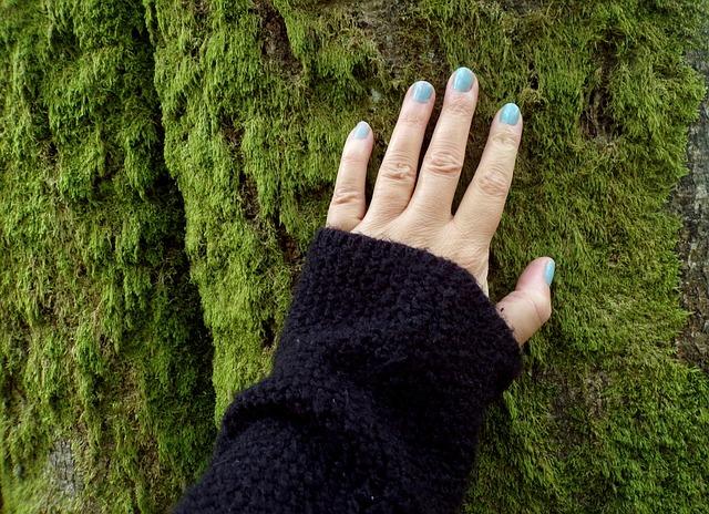 Innovative Technologies Driving Sustainable Solutions from Female Founders