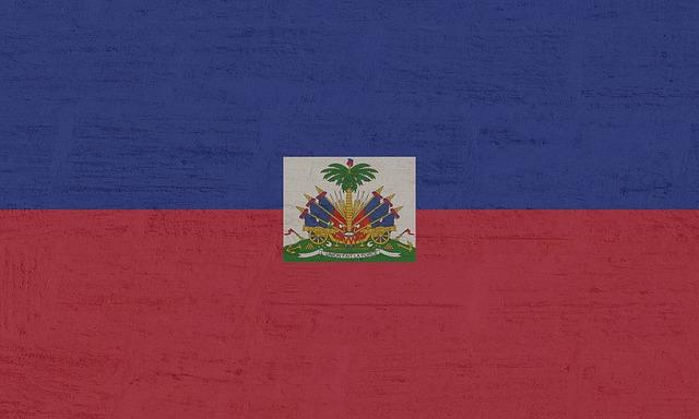 UN's haiti human rights expert warns of dire situation - Africanews English