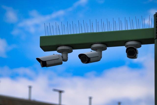Strategies for Enhancing Surveillance and Intelligence Sharing Among Partners