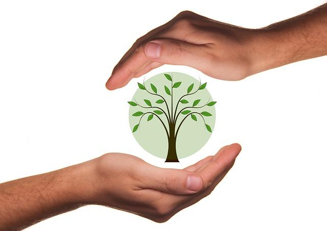 Lessons Learned: The Future of the Responsibility to Protect in Crisis Situations
