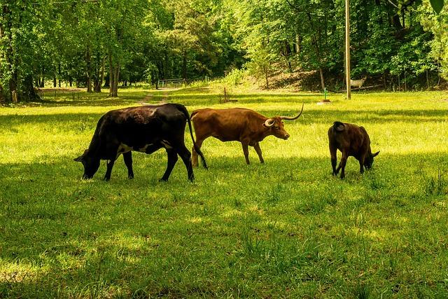 Evaluating⁤ the Economic Benefits of ​Methane Mitigation​ in ‌Agriculture