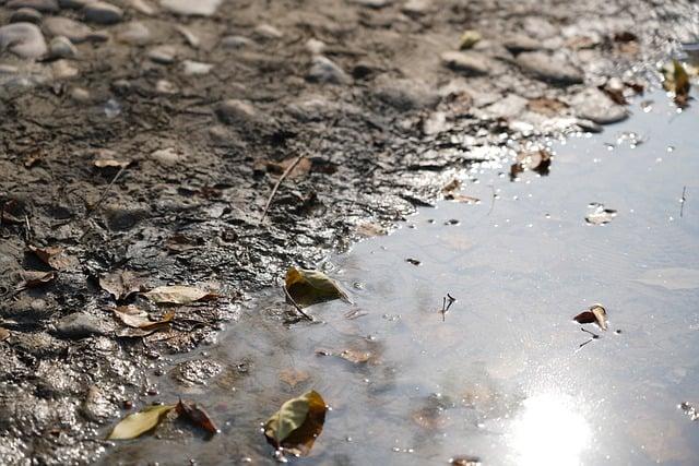 WHO's ‍Findings on Water ‍Pollution ⁤and Health Risks