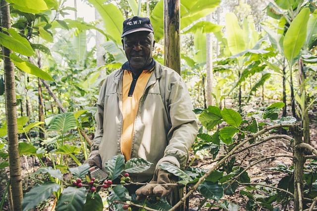 Economic Impact of Tanzania's coffee Recognition