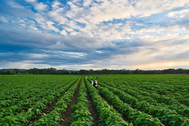 Challenges faced by Farmers and Producers ​Amid Supply Disruptions