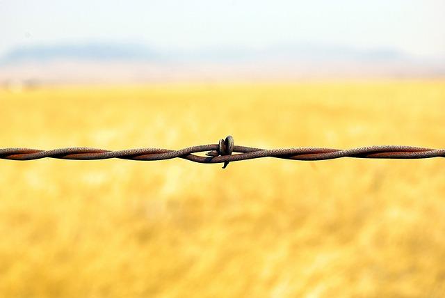 Recommendations for Overcoming Obstacles: strategic Partnerships and Investments