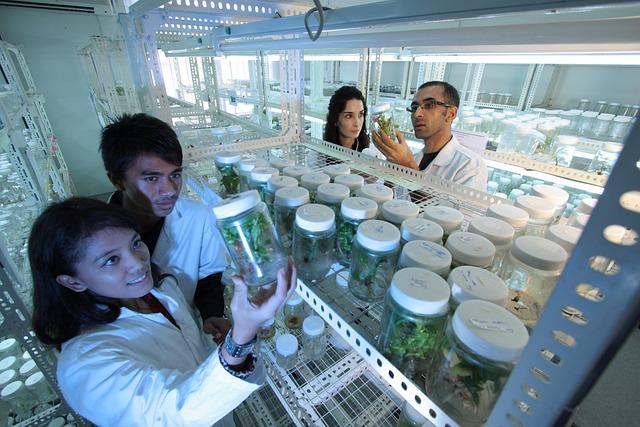 Innovations in Agriculture and Their Impact on Civilization
