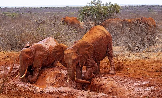 Long-Term Implications for Peace and Stability in East Africa