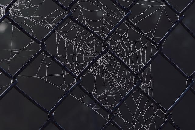 Implementing Comprehensive Strategies to Combat Smuggling Networks