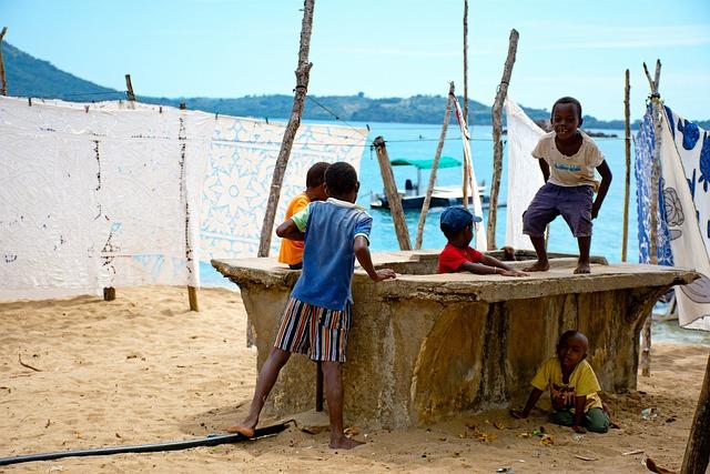 Future Directions for Social Services in the Africa-Madagascar Region