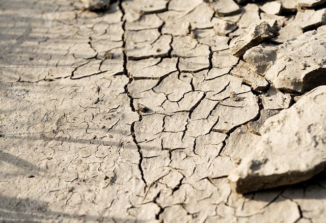 Key Features of the New Land Policy and Its Economic Implications