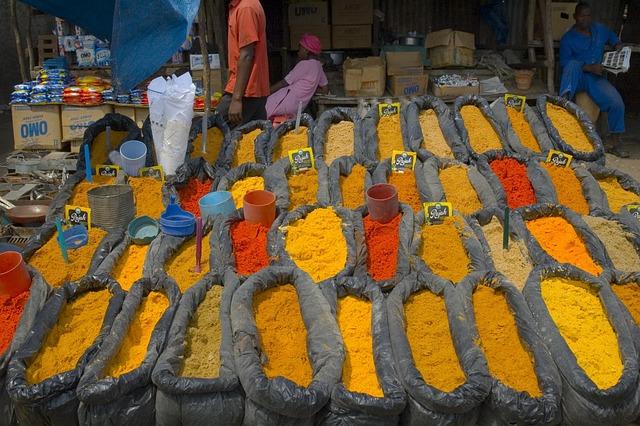 Economic Challenges and Opportunities in Post-Conflict Mozambique