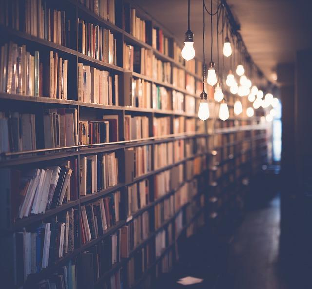 The Role of Education and Employment Opportunities