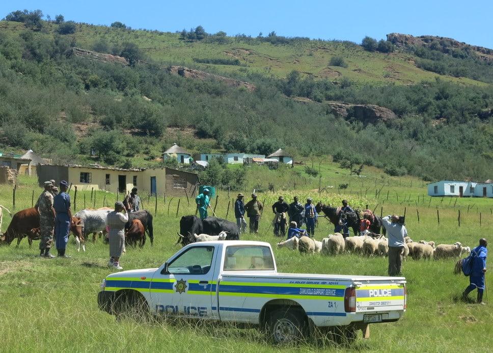 Strategic Recommendations for Lesotho to Navigate Trade Challenges