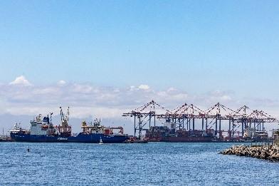 Impact of Cape Town Port Disruptions on Apple Export Volumes