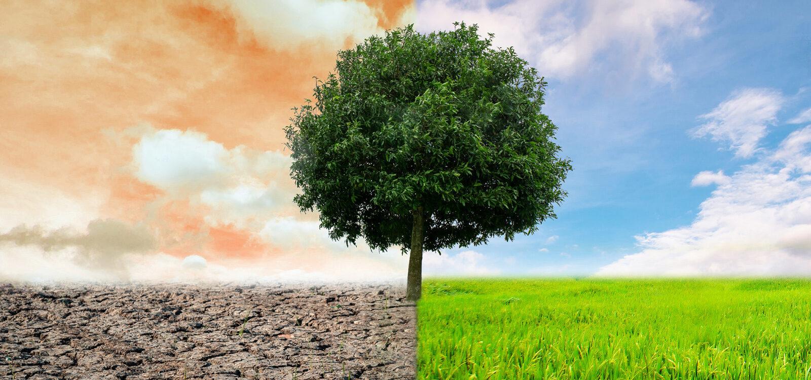 Strategies for Mitigating Climate Risks in Vulnerable Communities